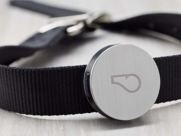 The Whistle Wireless Activity Tracker for Dogs
