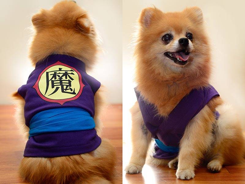 The Handmade Dragon Ball Dog Clothes
