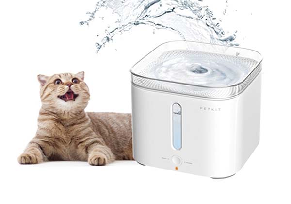 Petkit Automatic Pet Water Dispenser